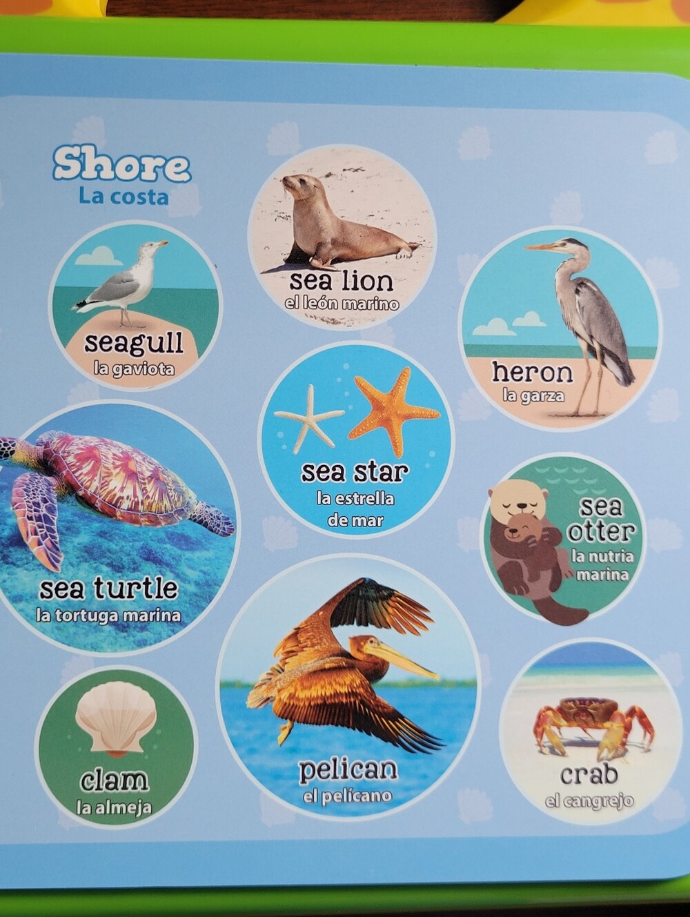 LeapFrog Words And Animals Learning Books (2) - Picture 13 of 15